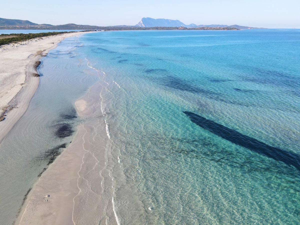 Iss Travel, San Teodoro 1 - 100 M From Cala D'Ambra Beach Екстериор снимка