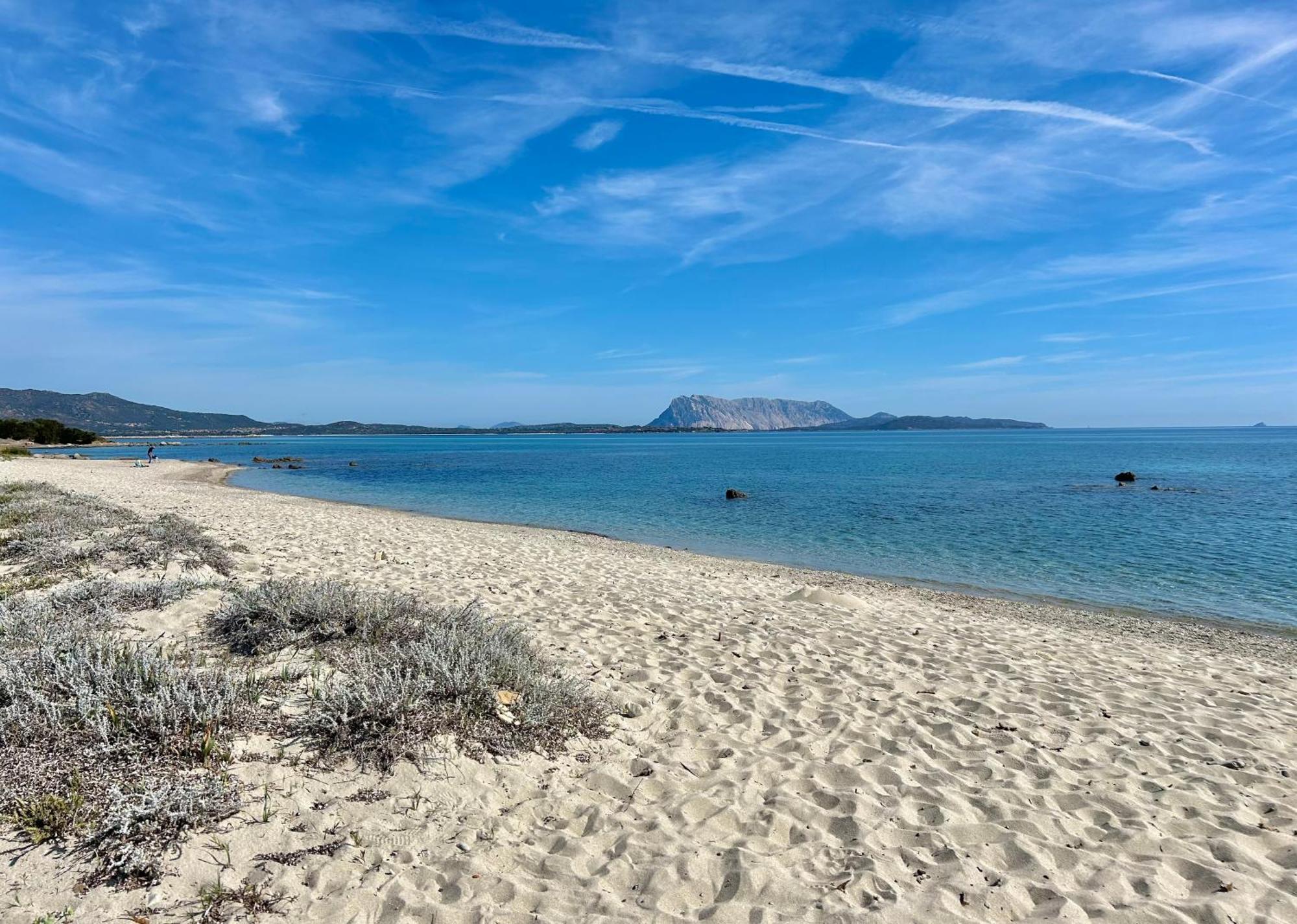 Iss Travel, San Teodoro 1 - 100 M From Cala D'Ambra Beach Екстериор снимка